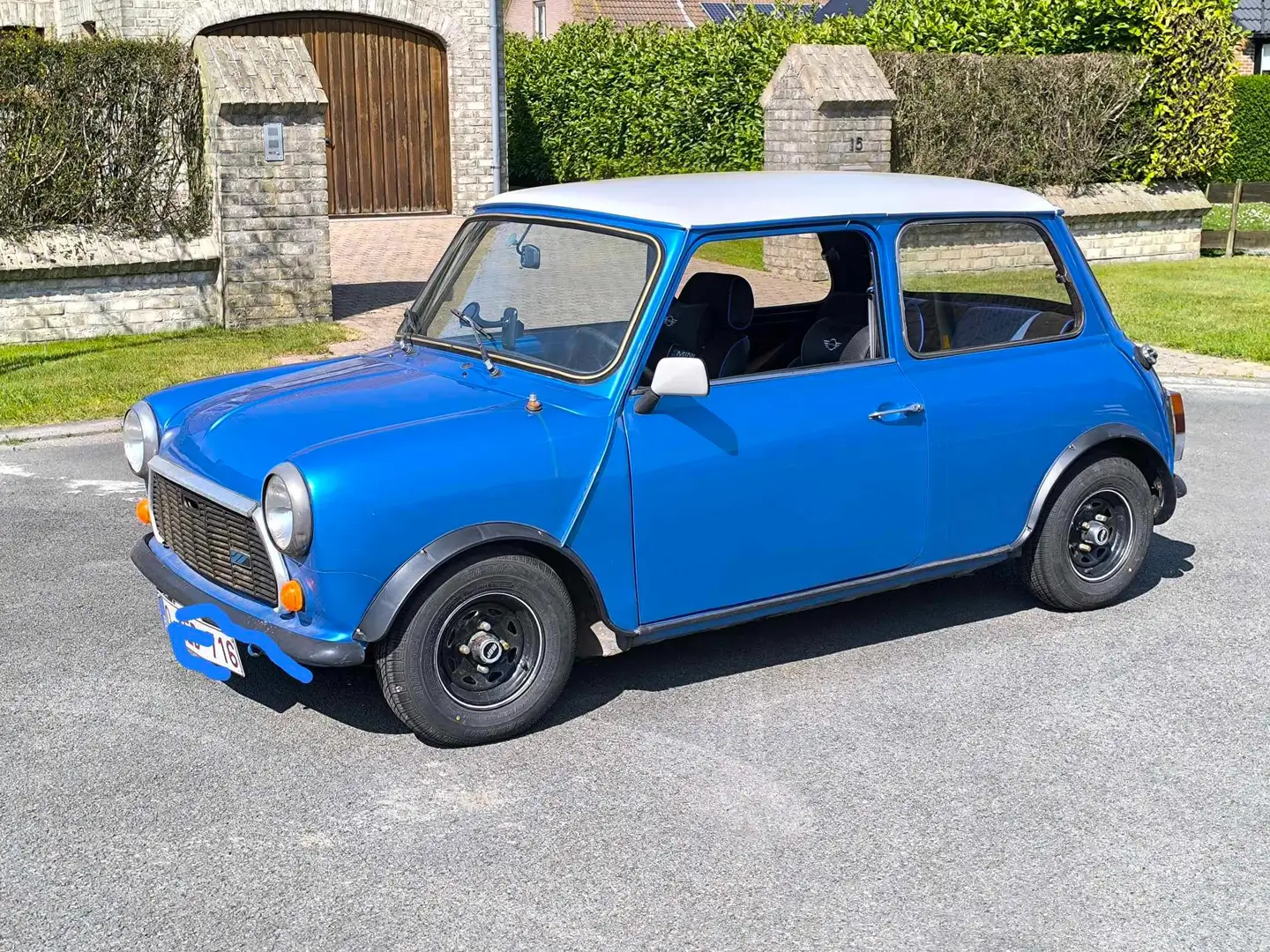 MINI 1000 Albastru - 2
