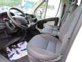 Citroen Jumper Pritsche Doka. 33 L3 HDi 130 FAP AHK White - thumbnail 6