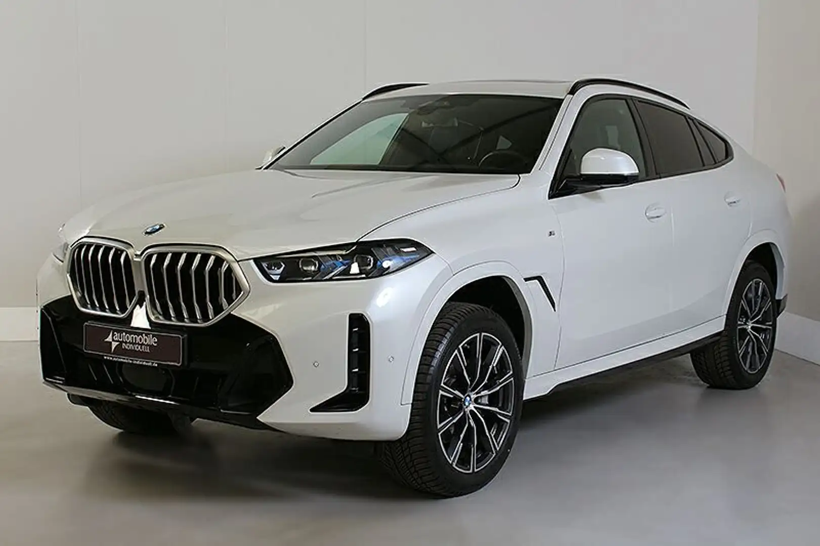 BMW X6 xDr 40dA M Sport Widescreen Standh Panora ACC Wit - 2