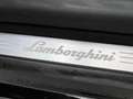 Lamborghini Urus PRONTA CONSEGNA Urus 4.0 V8 auto Noir - thumbnail 16