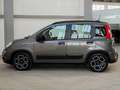 Fiat Panda 1.0 firefly hybrid City Life s&s 70cv 5p Grijs - thumbnail 4