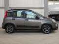 Fiat Panda 1.0 firefly hybrid City Life s&s 70cv 5p Grijs - thumbnail 8
