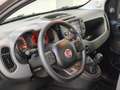 Fiat Panda 1.0 firefly hybrid City Life s&s 70cv 5p Grijs - thumbnail 10