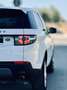 Land Rover Discovery Sport 2.0TD4 Pure 4x4 Aut. 150 Blanco - thumbnail 13
