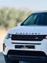Land Rover Discovery Sport 2.0TD4 Pure 4x4 Aut. 150 Blanco - thumbnail 3