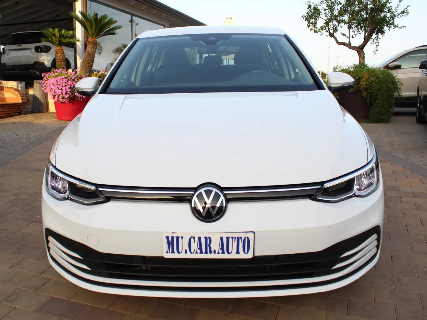 Volkswagen Golf Golf VIII  2.0 tdi Life 115cv Bianco - 2