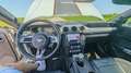 Ford Mustang Mustang Fastback 5.0 Ti-VCT Mach I Mach I Plateado - thumbnail 10