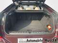 BMW X6 xDrive40d M-Sport*360°Kamera*AHK*Pano.*Harman&Kard Rot - thumbnail 10