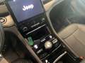 Jeep Grand Cherokee Plug-In Hybrid My23 Overland 2.0 PHEV 380 Ps Wit - thumbnail 18