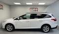 Ford Focus 1.6 TDCi ECOnetic Bwj 2013 Wit - thumbnail 4
