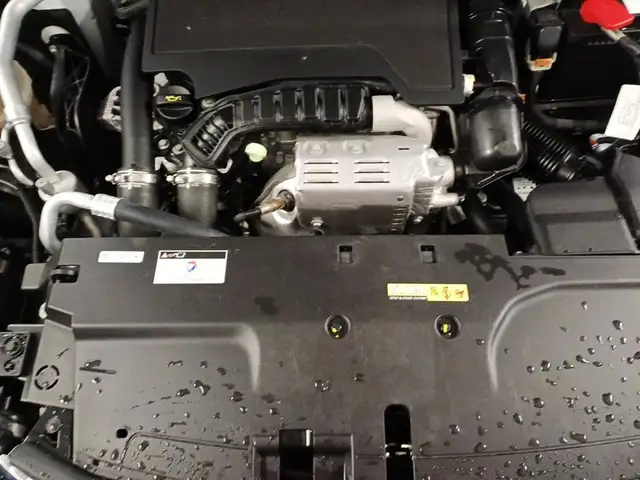 DS Automobiles DS 4 view 8