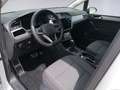 Volkswagen Touran 2.0 TDI DSG Move KAMERA+AHK+ACC Weiß - thumbnail 12