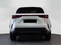 Lexus NX 450h+ Executive 4WD - thumbnail 4