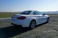 BMW 430 430i xDrive Cabrio M Sport Aut. M Sport Weiß - thumbnail 6