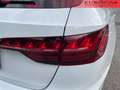 Audi A4 AVANT 35 TDI S TRONIC Bianco - thumbnail 12