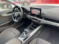 Audi A4 AVANT 35 TDI S TRONIC Bianco - thumbnail 6