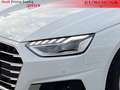 Audi A4 AVANT 35 TDI S TRONIC Bianco - thumbnail 13