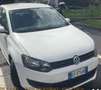 Volkswagen Polo Polo 1.4 TDI 5 pt Comfortline BlueMotion Technolog Bianco - thumbnail 2