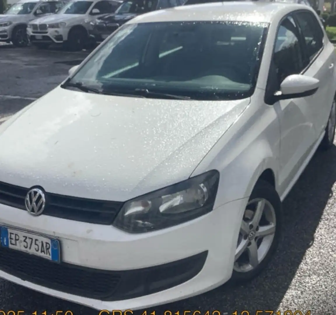 Volkswagen Polo Polo 1.4 TDI 5 pt Comfortline BlueMotion Technolog Bianco - 1
