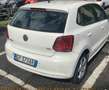 Volkswagen Polo Polo 1.4 TDI 5 pt Comfortline BlueMotion Technolog Bianco - thumbnail 3