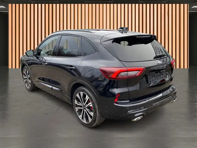 Ford Kuga view 13