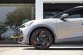 CUPRA Tavascan Endurance 82 kWh/286pk|2024|Panoramadak|21"LMV|Hea Beige - thumbnail 15