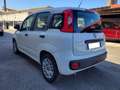 Fiat Panda Panda hybrid UNICO PROPRIETARIO Bianco - thumbnail 4