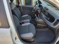 Fiat Panda Panda hybrid UNICO PROPRIETARIO Bianco - thumbnail 6
