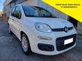 Fiat Panda Panda hybrid NO OBBLIGO FINANZIAMENTO Bianco - thumbnail 1