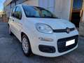 Fiat Panda Panda hybrid UNICO PROPRIETARIO Bianco - thumbnail 1