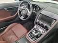 Jaguar F-Type 3.0 V6 380 CV aut. Convertibile Supercharged Blu/Azzurro - thumbnail 7