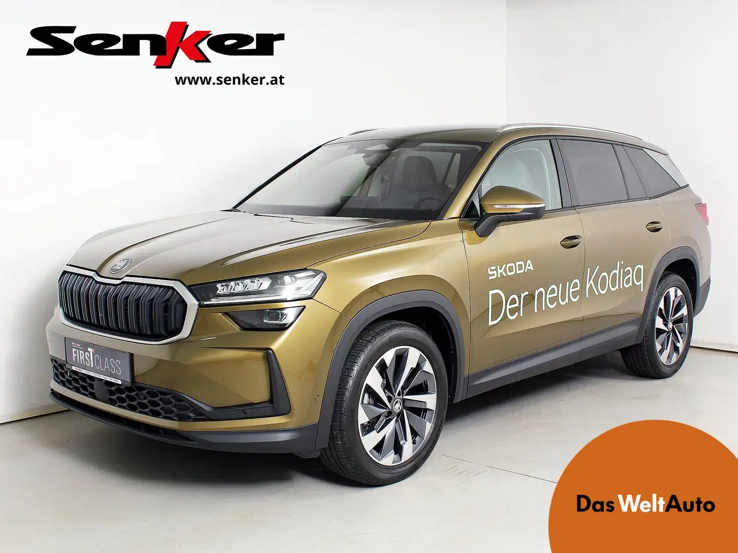 Skoda Kodiaq Selection TDI DSG Gold - 1