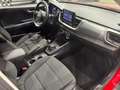 Kia Stonic 1.2 DPi GPL Style s/Design Pack Rosso - thumbnail 13
