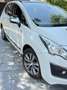 Peugeot 3008 1.6BlueHDi Active S&S EAT6 120 Blanco - thumbnail 2