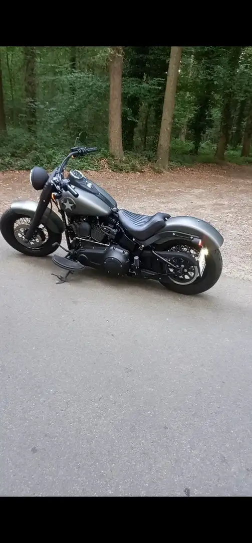 Harley-Davidson Softail Gris - 1