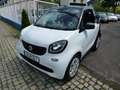 smart forTwo cabrio Autom-Klima-erst 36.000KM Blanc - thumbnail 3