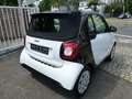 smart forTwo cabrio Autom-Klima-erst 36.000KM Blanc - thumbnail 11