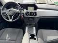 Mercedes-Benz GLK 250 GLK 250 4Matic-AHK-AUTOMATIK-SEHR GEPFLEGT-1 HAND- Gris - thumbnail 15