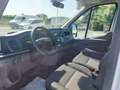 Ford Transit 350 Furgonato Sponda idraulica 2.0cc 170cv Bianco - thumbnail 9