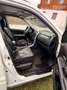 Suzuki Grand Vitara Grand Vitara 1,9 VX-EL 5DR DDiS L4V01 Weiß - thumbnail 5