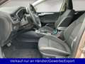 Ford Focus Turnier 1.5 EcoBlue Titanium Automatik Argent - thumbnail 9