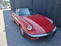Alfa Romeo Spider 2.0 / 115 Rot - thumbnail 7