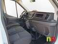 Ford Transit 2.0 EcoBlue 130cv Blanco - thumbnail 11