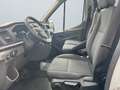 Ford Transit Pritsche Trend 2.0 TDCi 350 L3 AHK GJR Weiß - thumbnail 7