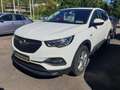 Opel Grandland X 1.2 Start/Stop Edition, Parkpilot, Sitzhzg. Blanc - thumbnail 1