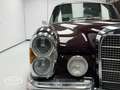 Mercedes-Benz 250 250SE Coupe Automatic  - ONLINE AUCTION Rot - thumbnail 32