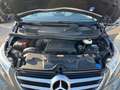 Mercedes-Benz V 220 V 250 CDI Avantgarde lang +360GRAD+AHK+LED+BUR+ Grijs - thumbnail 15