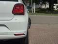 Volkswagen Polo 1.4 TDI Highline |PANO|CAMERA|DSG|LED|ST VWM|CLIMA Bianco - thumbnail 23