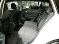 Volkswagen Golf Variant "LIFE" 1.5 TSI 6-Gang AHK-KLIMA-LED-LM17-SIDE A... Weiß - thumbnail 7