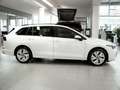 Volkswagen Golf Variant "LIFE" 1.5 TSI 6-Gang AHK-KLIMA-LED-LM17-SIDE A... Weiß - thumbnail 15